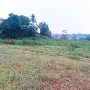 50x100 on the main tarmac road in Kiwologoma, Kira, Wakiso, United States of America USA Land title available