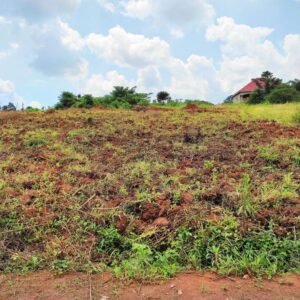 8.3 acres of land in Mulungi Omu, Nakasajja per acre